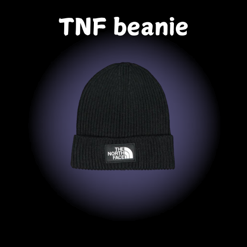 TNF beanie - vendor